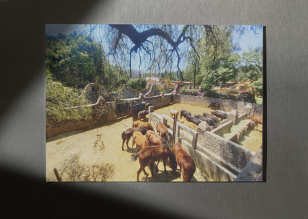 Diseño sin título (1)