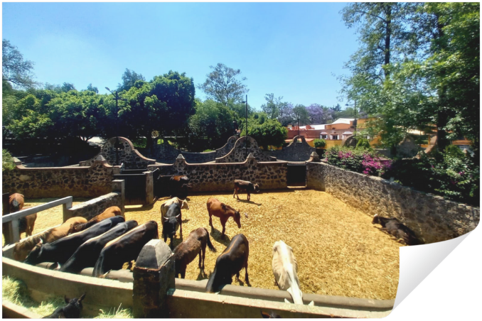 Diseño sin título (2)