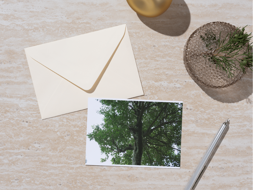 Diseño sin título (3)